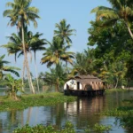 Kerala Solo Retreat – 4N/5D